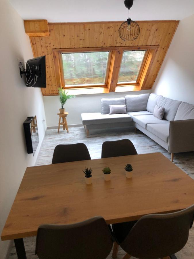 Atico Europa, Canfranc Estacion Екстериор снимка